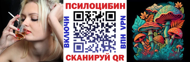 Купить  Кизляр  Псилоцибиновые грибы мицелий 
